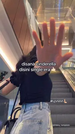 disana cinderella