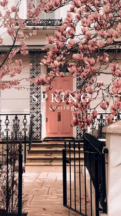 spring is coming 🌸