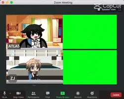 Funny zoom collab