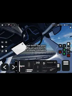 Driving in my Tesla 