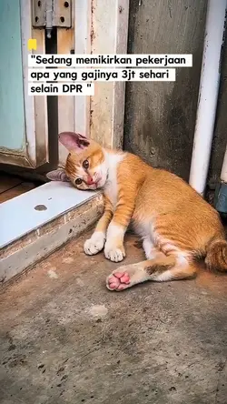 Gaji DPR