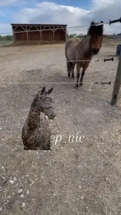 moja muzyka!!!