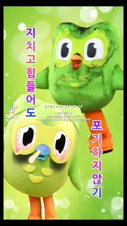 듀오링고 영상 나눔