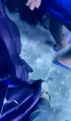 Bagong biyak na buko