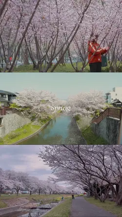 Spring Aesthetic