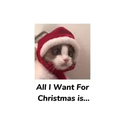 Christmas gift