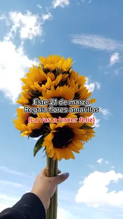 🌻🌻Regala flores 🌻🌻