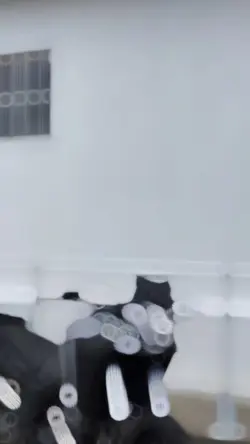 Rico bem novinho 
