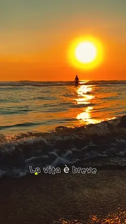 La vida 