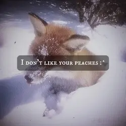 Fox edit (requested)