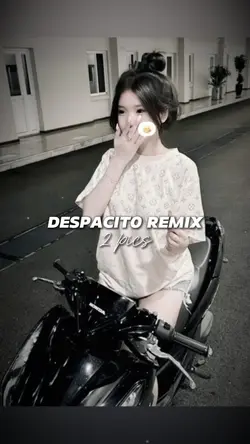 [2] despacito remix 