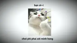 [1] bạn ơi