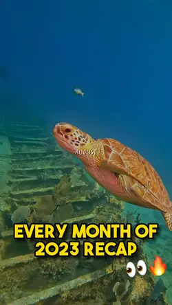 Every month of 23🔥👀🏖️