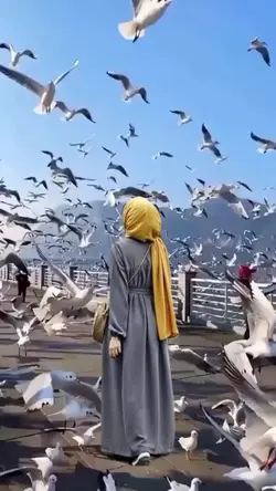 Burung Burunh