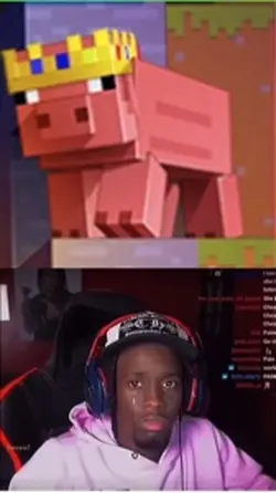 Rip