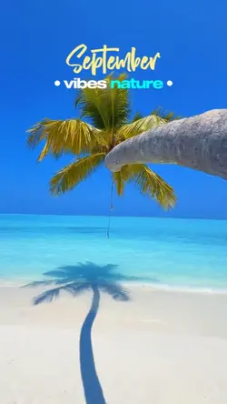 VIBES In September