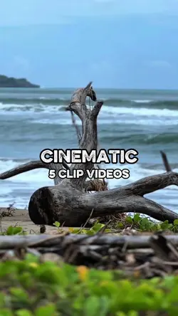 5 CLIP VIDEOS