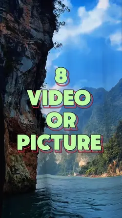8 video or picture 