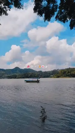 Vlog