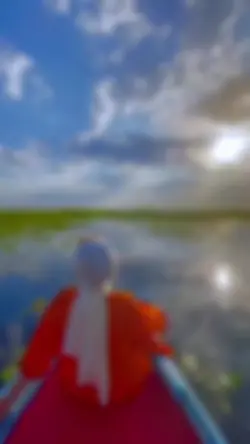 vaasete