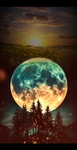 Moon 