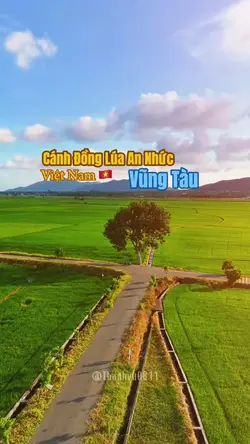 Cánh Đồng Lúa