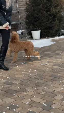 it's the little