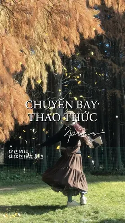 chuyến bay thao thức