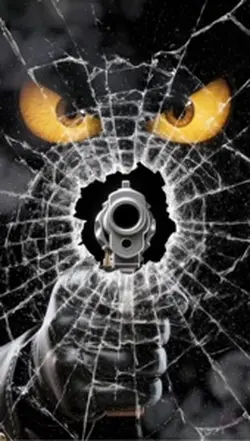 Shooting shattered