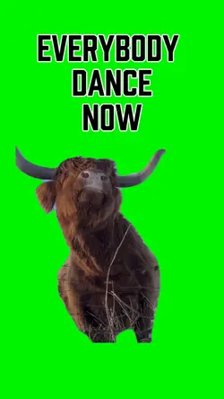 Rocking cow