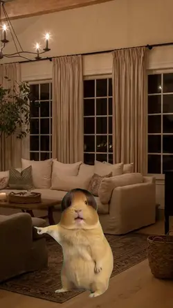 capybara meme