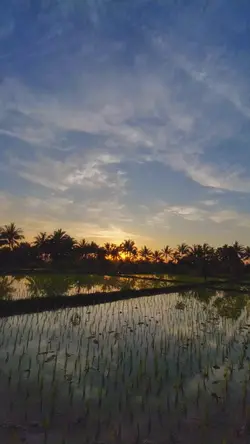 Takbiran 