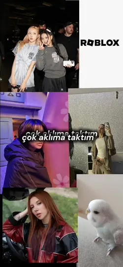 Jennieyi bindirme 