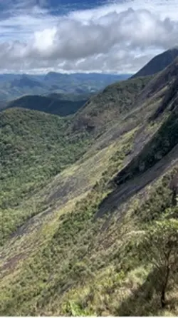Rock Mountain