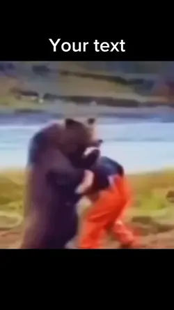 W bear meme 