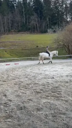 bareback