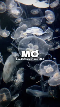 MƠ