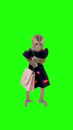 monkey in a dress