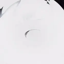 でも本当は