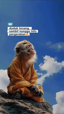 info pergerakan