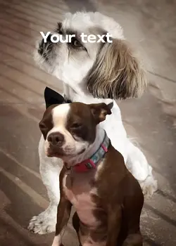 #crydogmeme