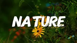 Nature Cinematic HD