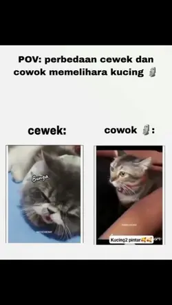 PERBEDAAN CWK&CWK