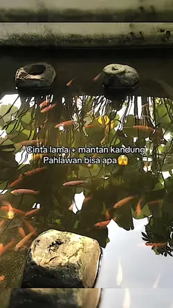 cinta lama + mntan
