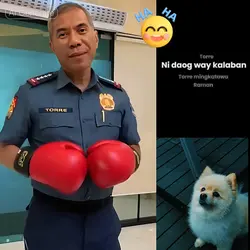 Torre Funny Song