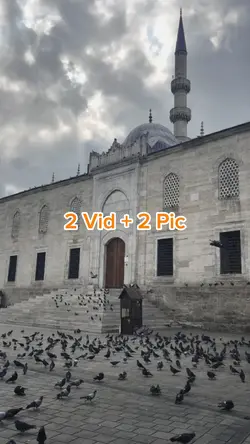 2 Vid + 2 Pic