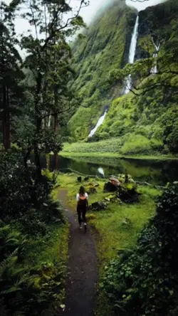 Cinematic nature 