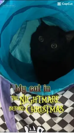 Spooky 