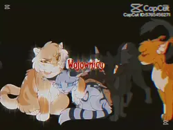 Wojownicy "sekrety"