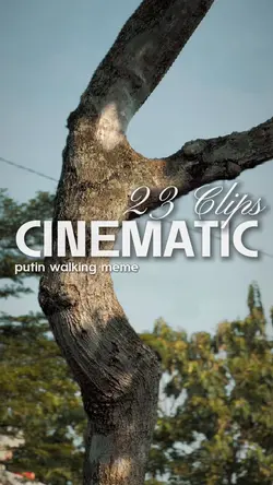 Putin walk 